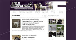 Desktop Screenshot of labradors-poland.com